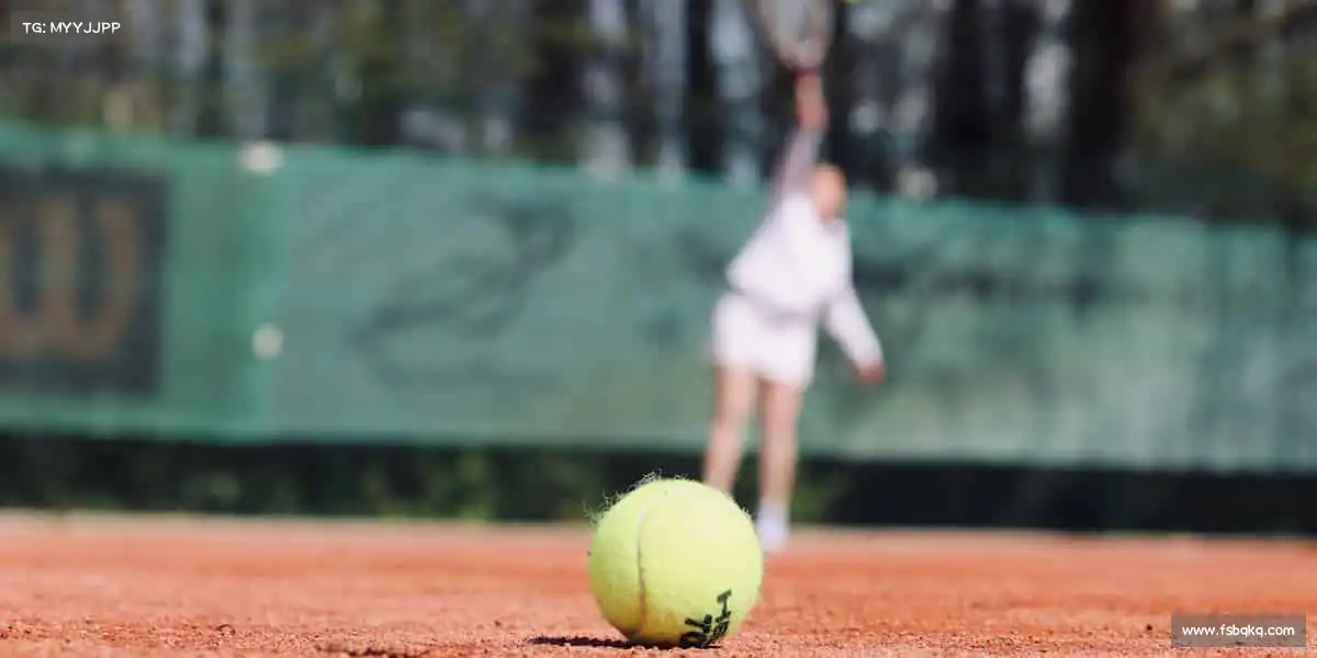 为什么选择我们